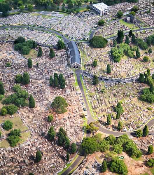 A drone shot of an expansive cemetery located in Carlton. Photo by Josh Chiodo on Unsplash 